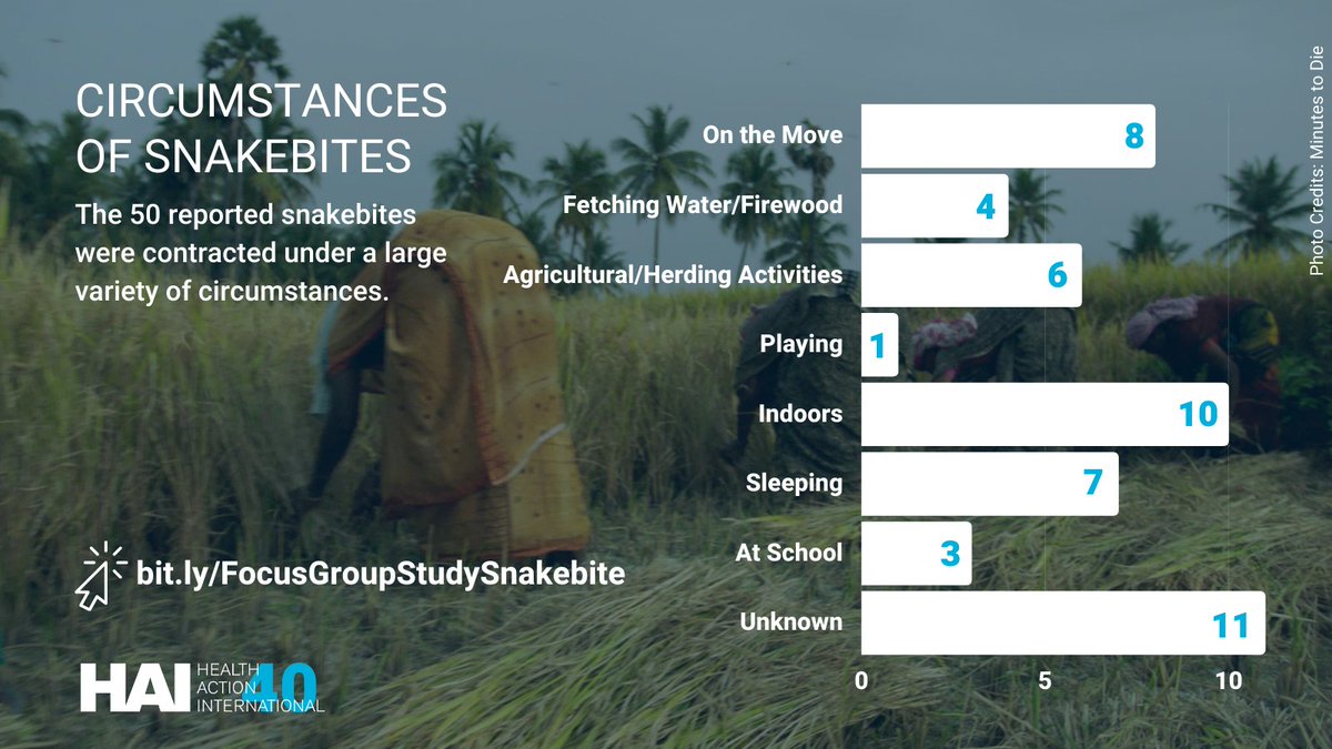 HAImedicines's tweet photo. In a 2021 HAI study, focus groups provided information about 50 unique cases of #snakebite in rural #Kenya. The circumstances under which bites occurred show the importance of preventive measures like wearing shoes and using bednets. https://t.co/sVv7K5nIzu https://t.co/srxZdkK019