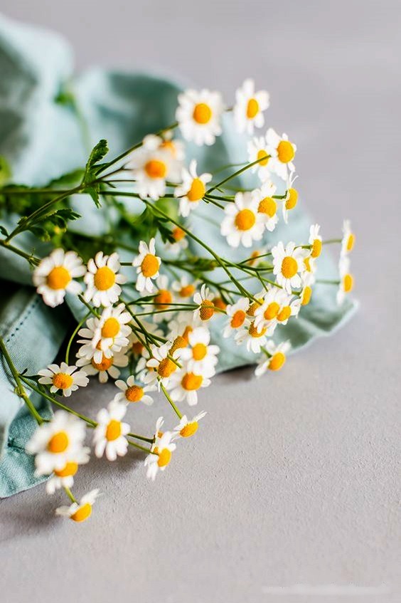 Ne güzel güneşli bi gün 😊
Mutlu günler 🌼