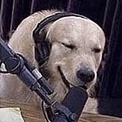 blockboi66's tweet photo. #NewProfilePic https://t.co/hhtRbm5Tlv