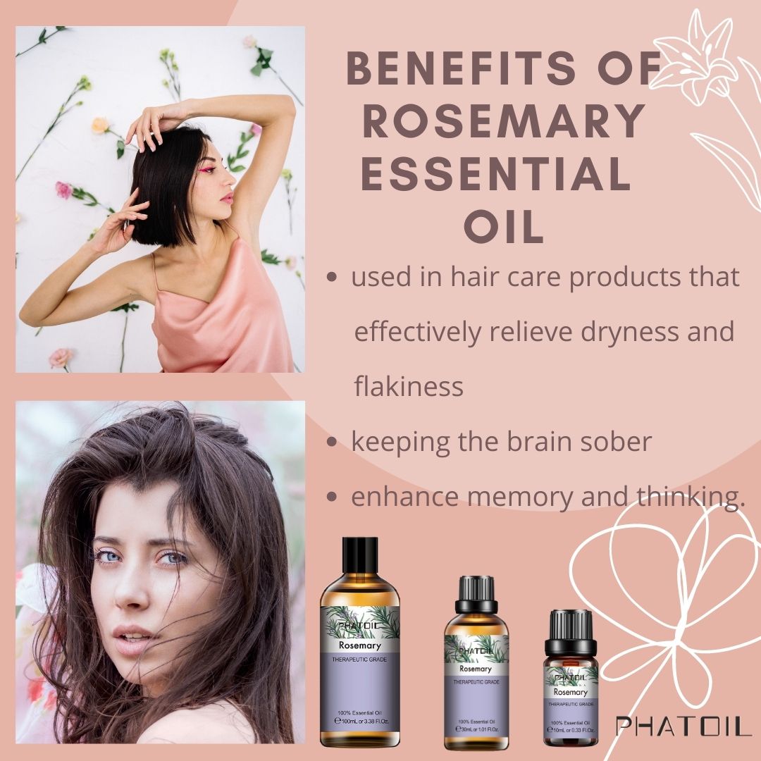 PhatoilOfficial's tweet photo. What is the use of rosemary essential oil? https://t.co/7MWDI1Vwuw