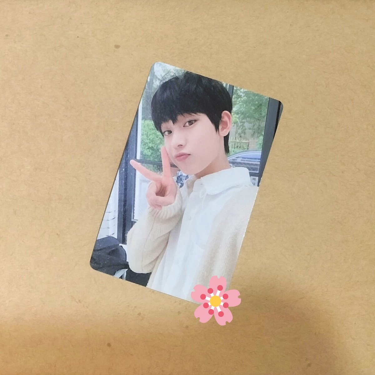 3kimscart_'s tweet photo. — eu budol mails (◍•ᴗ•◍)✧*。

{#sunkits_feedbacks}

Thank you @sunkits_ !! Peace sign nootnoot sg21 sunoo arrived home safely 🥰🥰💗

#euumails https://t.co/eRcmw1v8yg