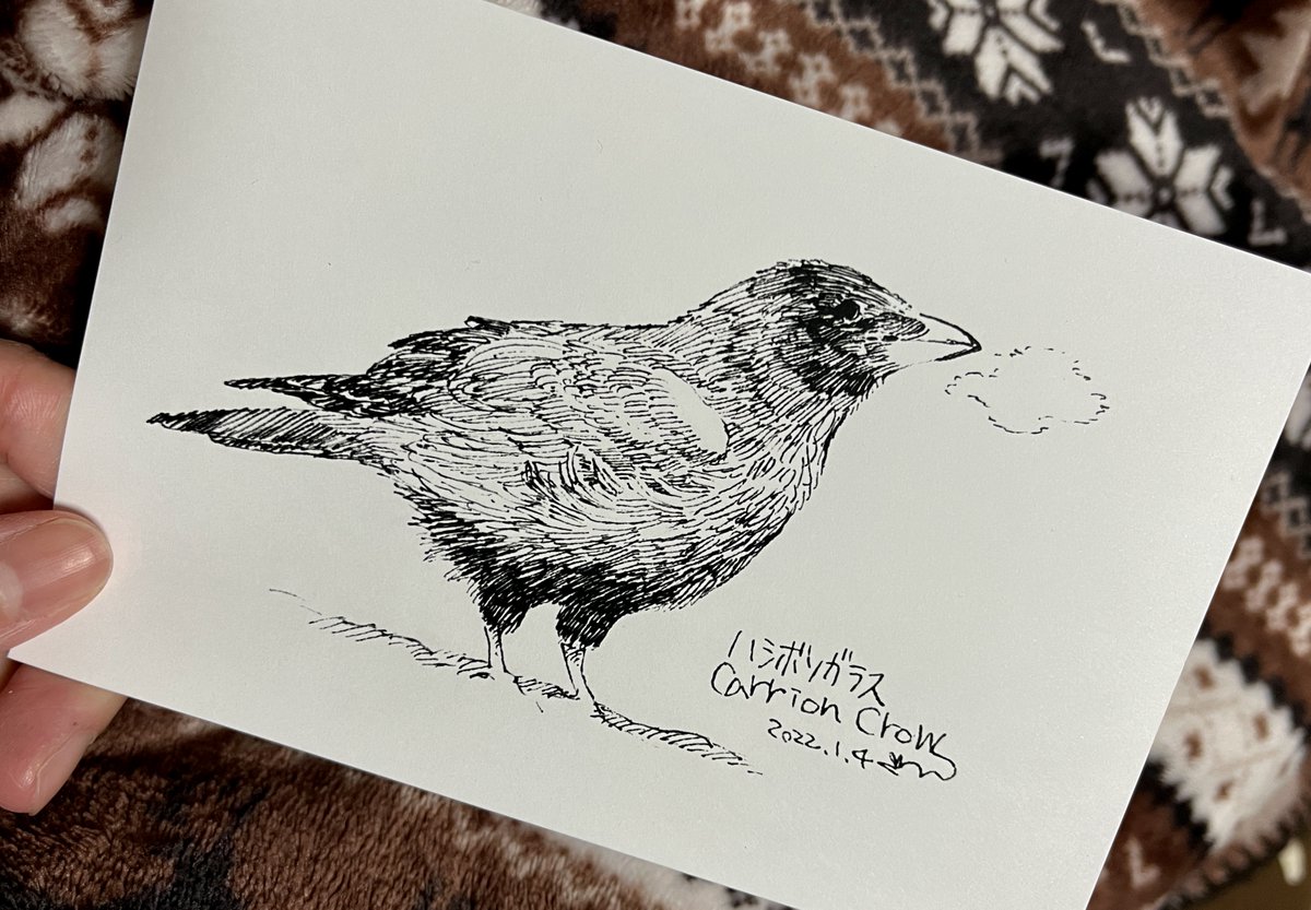 さいきん見た鳥、今年最初はハシボソガラスです(今日も近くに来てた)。セブンイレブンで印刷できますのでよければどうぞ!番号:79362427 期限:01/11 まで 