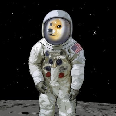 DOGMOON tweet media