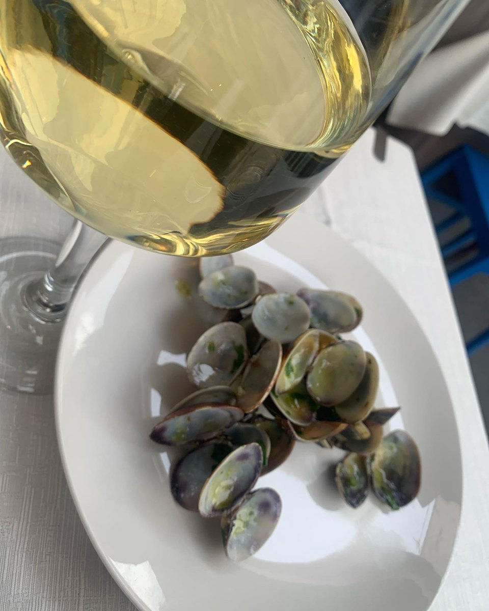 missaglia_sara's tweet photo. Colomba Platino Insolia @ducadisalaparuta: erbe aromatiche, ginestra, zagare, melone e nespole. Elegante ma deciso, con un sauté di vongole fa scintille!
.
#sicilia #vinidisicilia #insolia #wineoneway #WoW https://t.co/ocmQGZDtDN