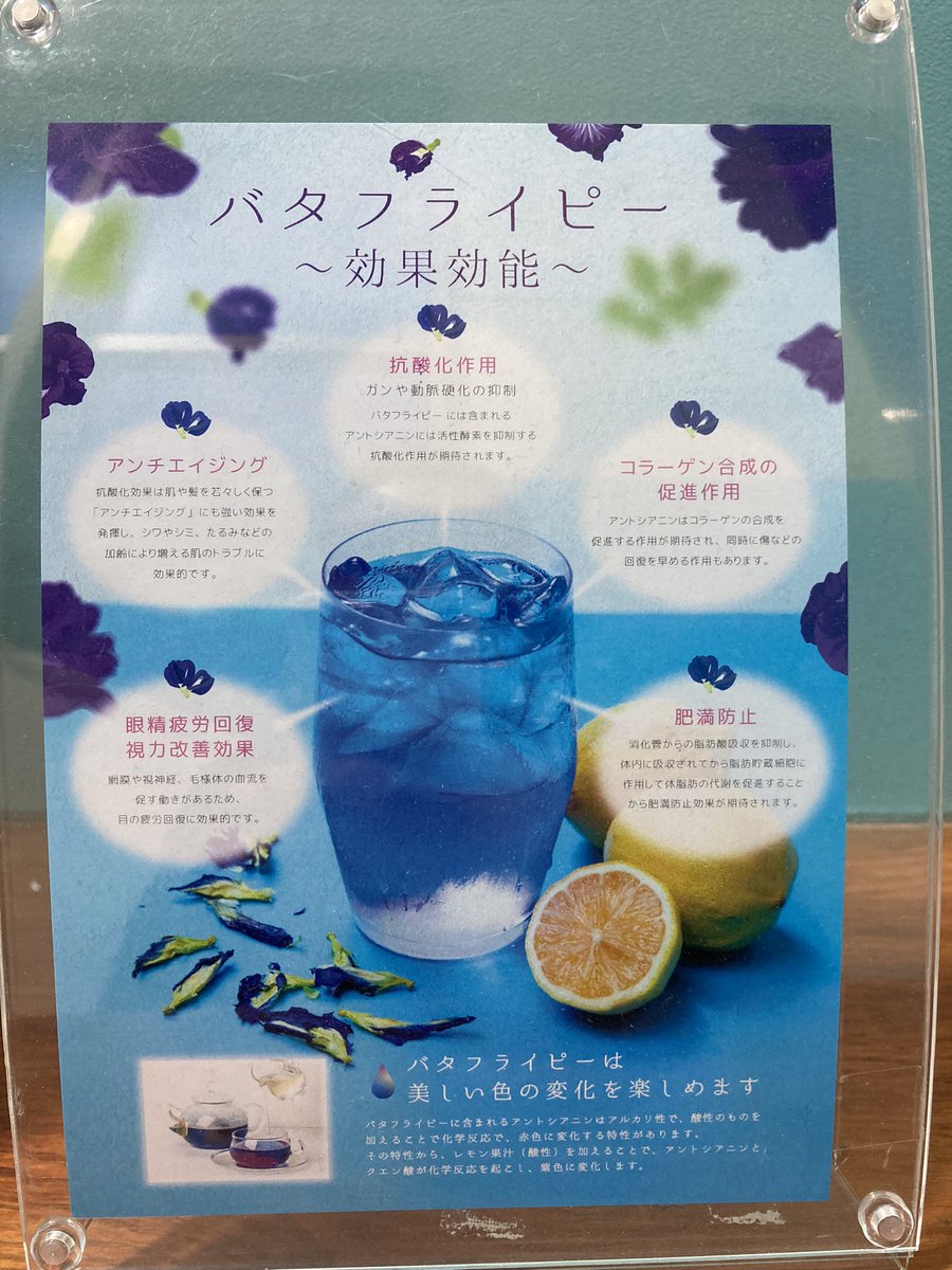 kenken58man's tweet photo. ウワサのバタフライピーを体験してみた。レモンの酸が反応して色が変わるという新しい沖縄の特産物。面白いなー。一過性のブームじゃなく継続性をどう持たせられるのか興味津々。 https://t.co/mNil9vGjFF