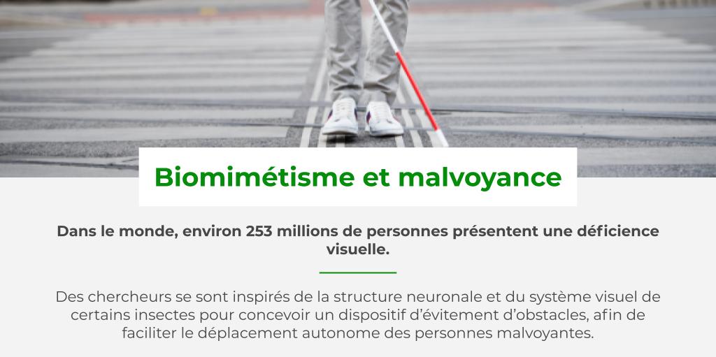 Bioxegy tweet media