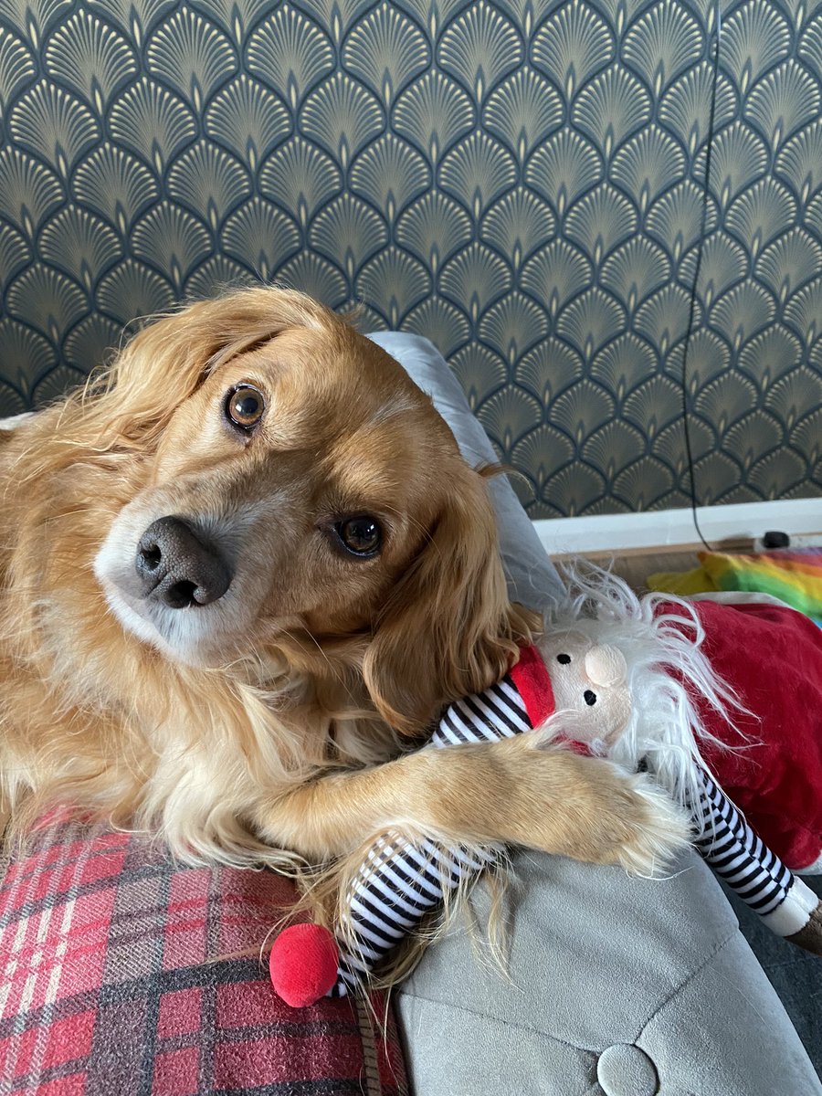 Jan Sloan tweet media