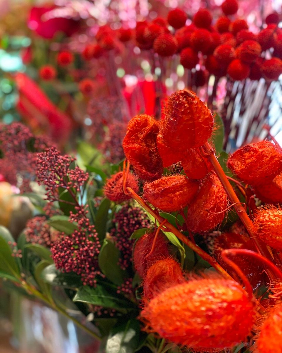 Quedan 2 días para la noche más esperada 🐪 ¡Los Reyes Magos están en camino! Y con ellos, los regalos 🎁

Recíbelos con la mejor decoración con plantas y flores esa noche de la mano de Margarita se llama mi amor 🌸👑

#reyesmagos #decoracionreyesmagos #margaritasellamamiamor