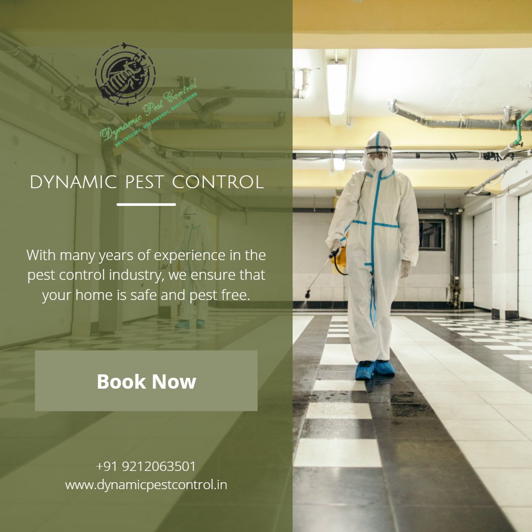 ControlDynamic's tweet photo. Work with a reliable and experienced pest control. Work with us.
Call us to book our services
#dynamicpestcontrol #dpcservices #pestcontroldelhi #Sanitizationexperts #sanitiza #sanitizationservice #sanitizers #sanitizer #sanitizeeverything #covid19 #omnicron #covidvariant #covid https://t.co/F9pE7LotYy