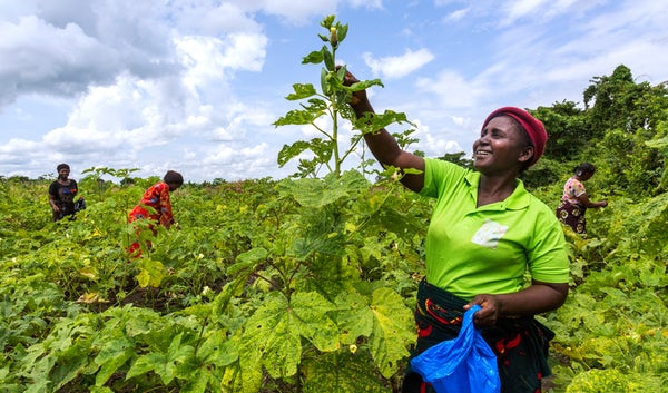 Investing in smallholder farmers means investing in a brighter future of food, nutrition and agriculture.

#InvestInRuralPeople