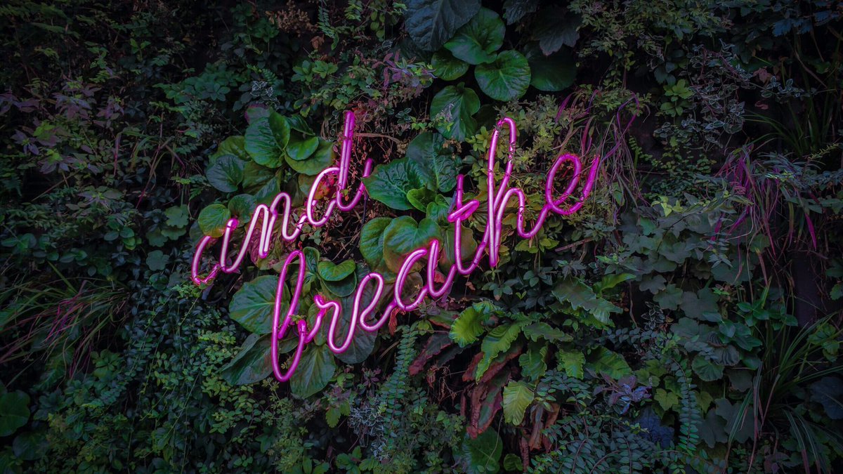 ashgateWB's tweet photo. A gentle reminder to look after yourself on your return to work post Christmas break. Make space for you and your well-being 🙏 #selfcare https://t.co/L99GaszlAp