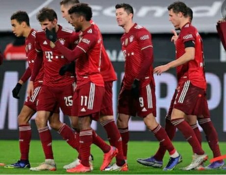 WILD BULLS tweet media