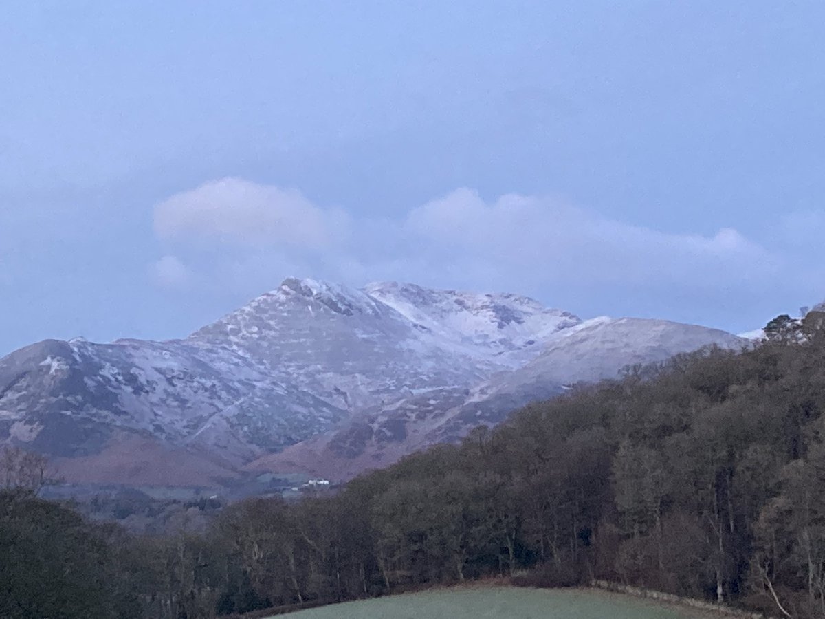 RFJ💙 🇺🇦 tweet media