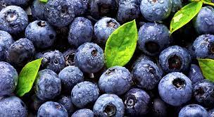 PeruInTheEU's tweet photo. Check out this article by @FreshPlaza_com, where our blueberries are featured, having increased its exporting rate in 29% in 2021! Only in October, blueberries were the most exported agricultural product in @Peru!
https://t.co/ijzICF3y8J 
@ADEX_PERU @CancilleriaPeru @MINCETUR https://t.co/wp9Lcaty9L