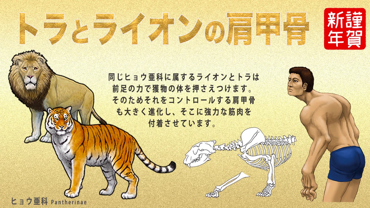 川崎悟司 på X: 