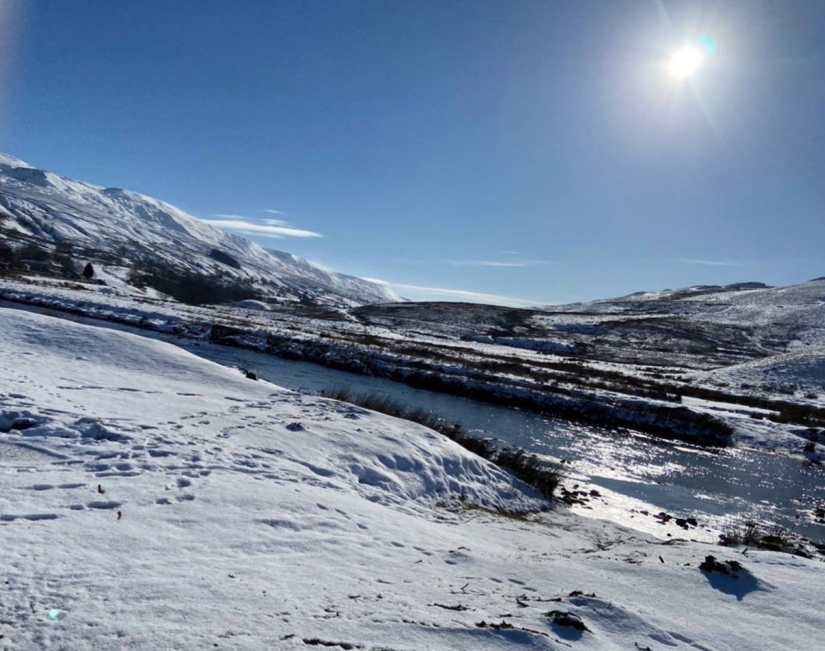 DebbieNorth29's tweet image. It's a white world... well in our part of the country! #YorkshireDales
