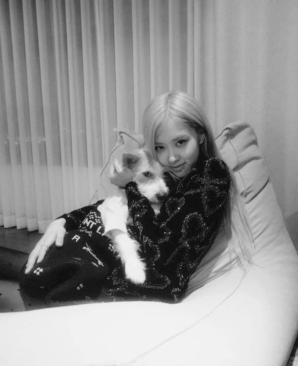 blackpinkcuteee's tweet photo. Rosé and Hank 💕 
-IG- 
#Rosé #BLACKPINK https://t.co/A8RxtP4IZg