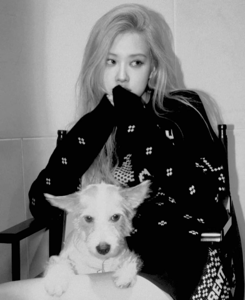 blackpinkcuteee's tweet photo. Rosé and Hank 💕 
-IG- 
#Rosé #BLACKPINK https://t.co/A8RxtP4IZg