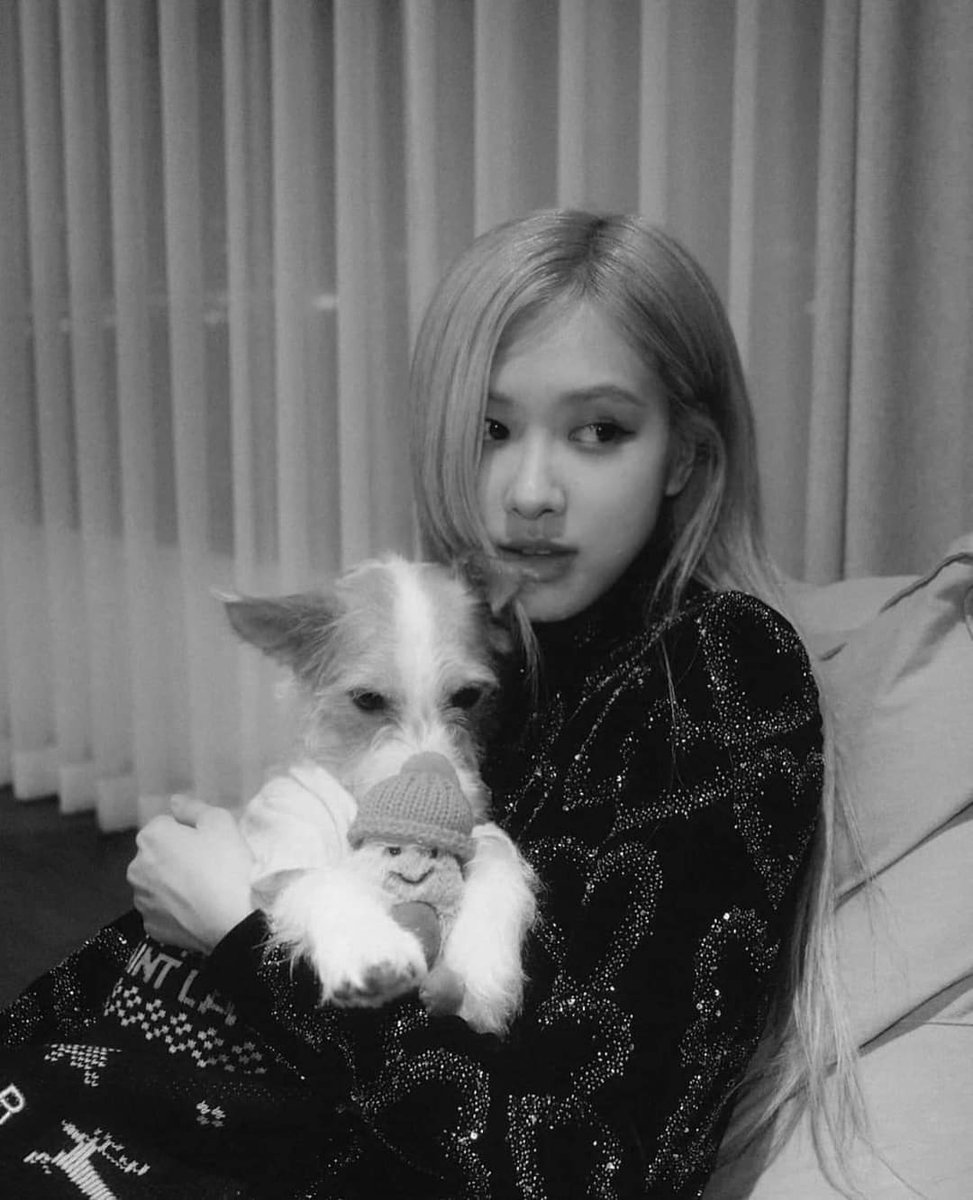 blackpinkcuteee's tweet photo. Rosé and Hank 💕 
-IG- 
#Rosé #BLACKPINK https://t.co/A8RxtP4IZg