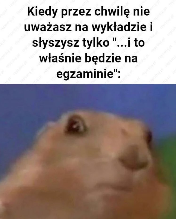 drobnazabawa's tweet photo. najgorzej #studia2022 https://t.co/1xpxN9xkxK