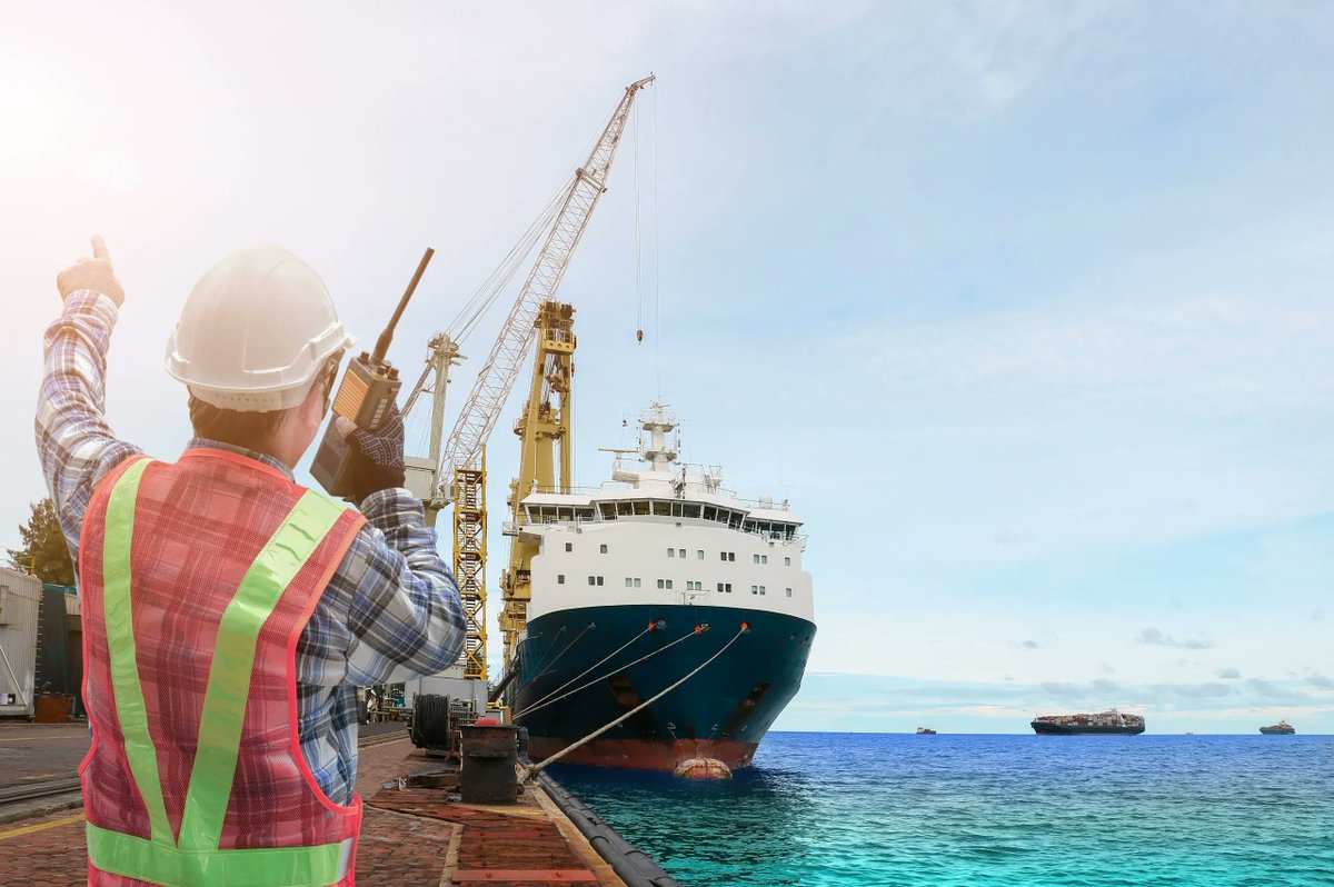 Ship security officer и ship safety officer. Shipbuilding engineer. Докер в порту. Профессии в порту. Портовый эколог.