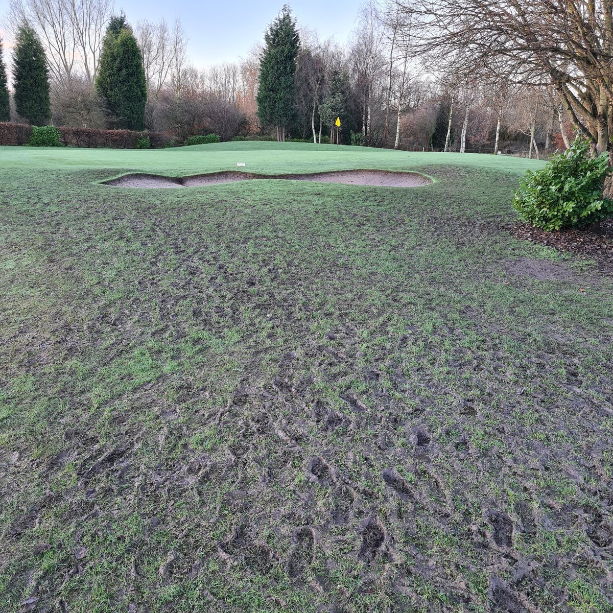 Houldsworth Greens tweet media