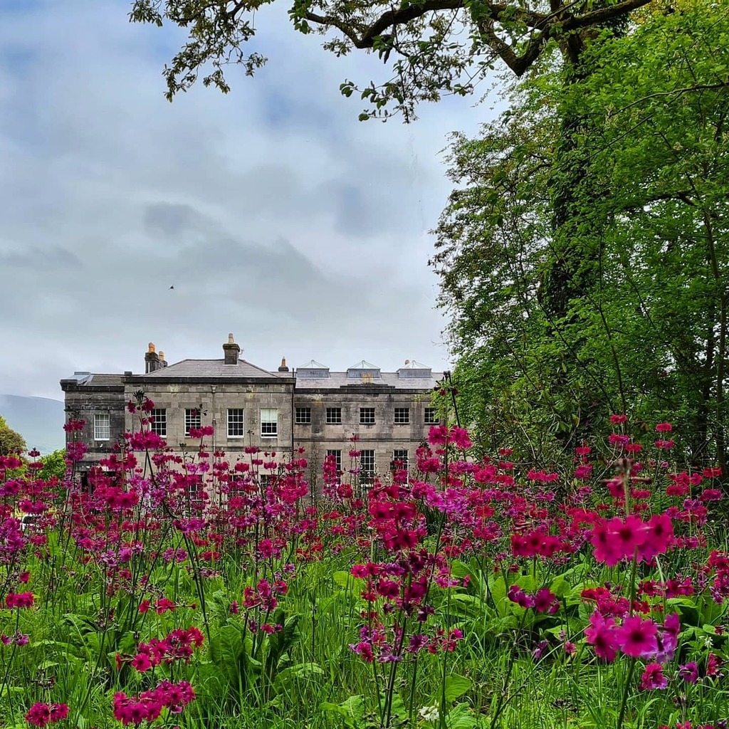 IrishAesthete's tweet image. Lissadell, County Sligo is a large and somewhat austere building, designed in 1831 by architect Francis Goodwin for Sir Robert Gore-Booth, whose family had lived in the area since the early 17th century. There had been an earlier residence closer to the … instagr.am/p/CYTRNBOtFOb/
