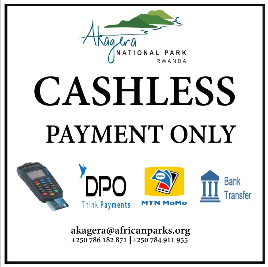 Dear Visitors,
From 1st January 2022, the park's day visitor centre (reception desk, gift shop and coffee shop) is cashless. The cashless payment options available include MTN MOMO, Direct Pay Online (DPO), Bank transfer/deposit, and credit card (Visa or MasterCard).
Thank you.
