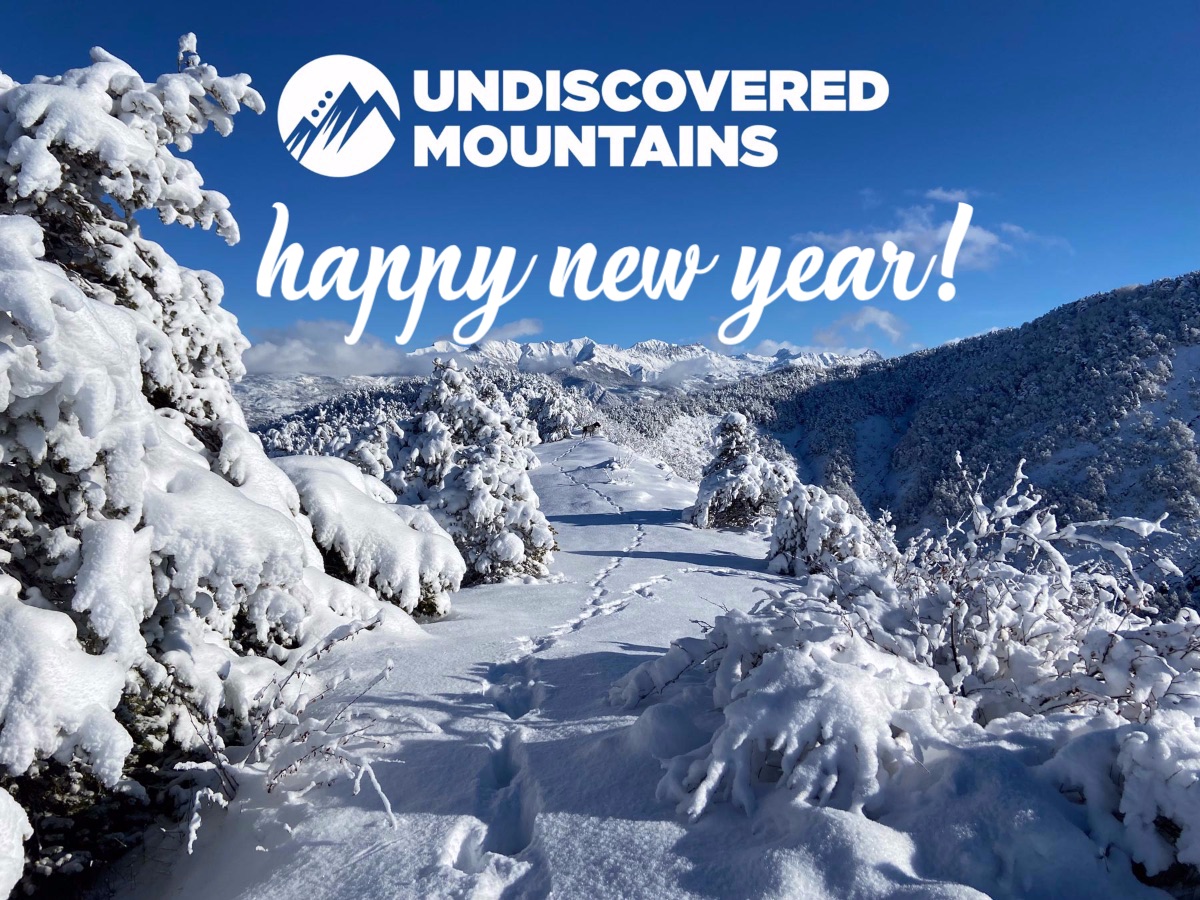 Happy New Year! - mailchi.mp/f9c37f91b0a0/h…