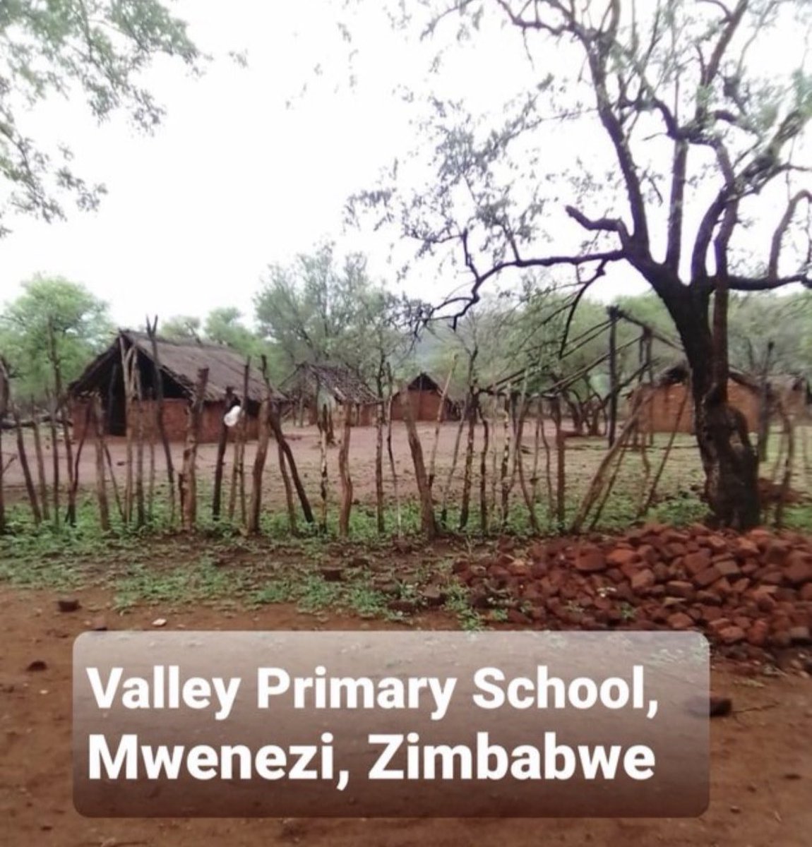 A school in Zimbabwe. 

If this does not push us to register to vote in our millions, nothing else will. 

We need new leaders.🇿🇼
#NgaapindeHakeMukomana