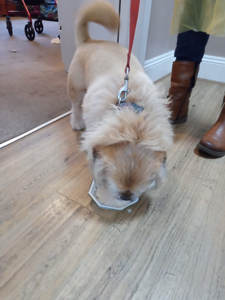 Ascot Care tweet media