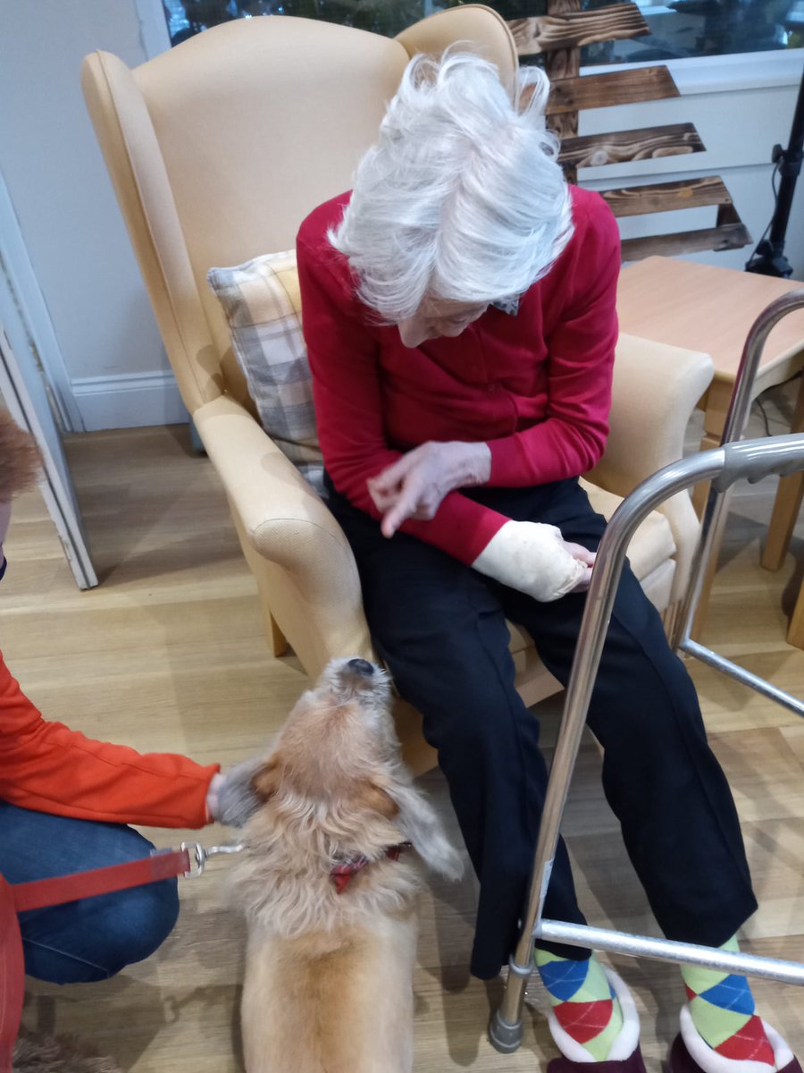 Ascot Care tweet media