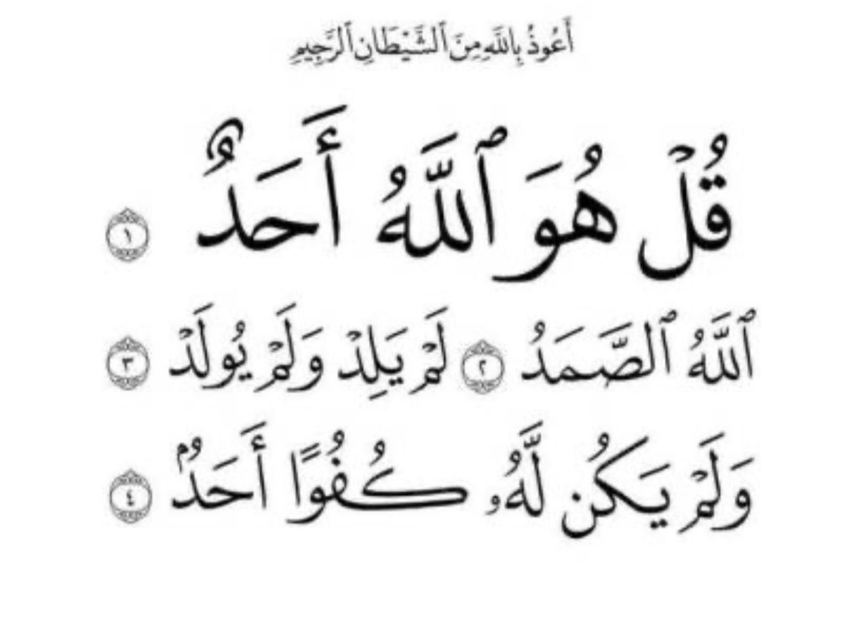 Roaa_47's tweet photo. https://t.co/kCXViBiuYl