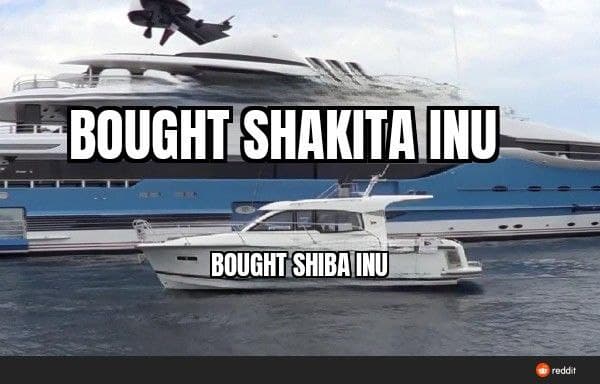 BlockchainPROb's tweet image. #shak #binance #BSC @ShakitaInu #shib2shak #shakitainu #metaverse