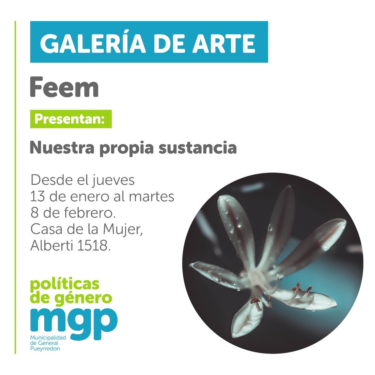 En unos días se inaugura la primera Muestra colectiva de Feem, NUESTRA PROPIA SUSTANCIA

Tenemos como guía, faro, luz y semilla, las palabras de Simone de Beauvoir
"Que nada nos límite,
Que nada nos defina,
Que nada nos sujete,
Que la libertad sea nuestra propia sustancia"