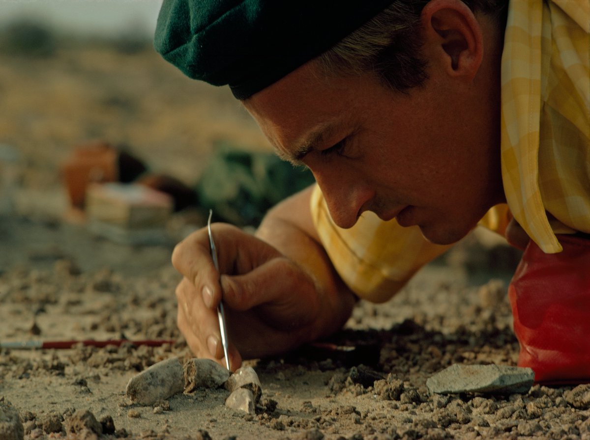 Photo credit: Bianca Lavies