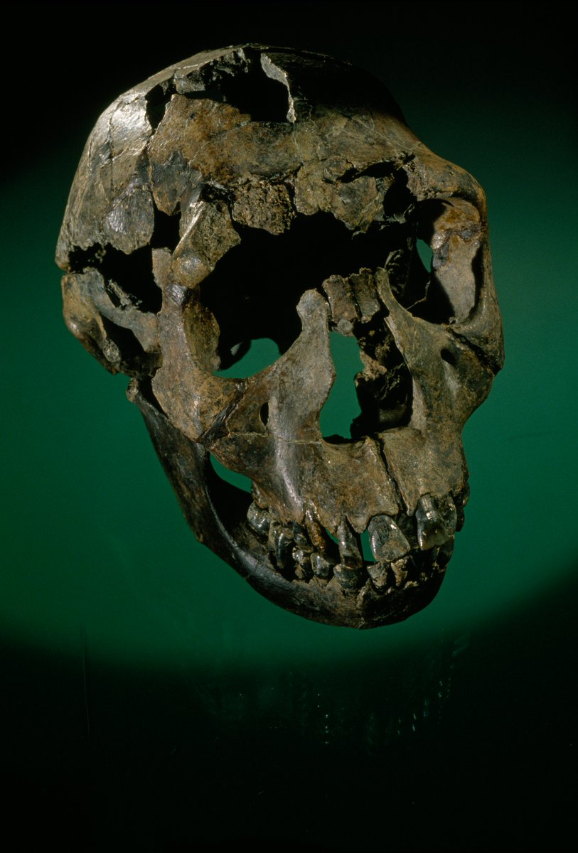 Photo credit: Kenneth Garrett