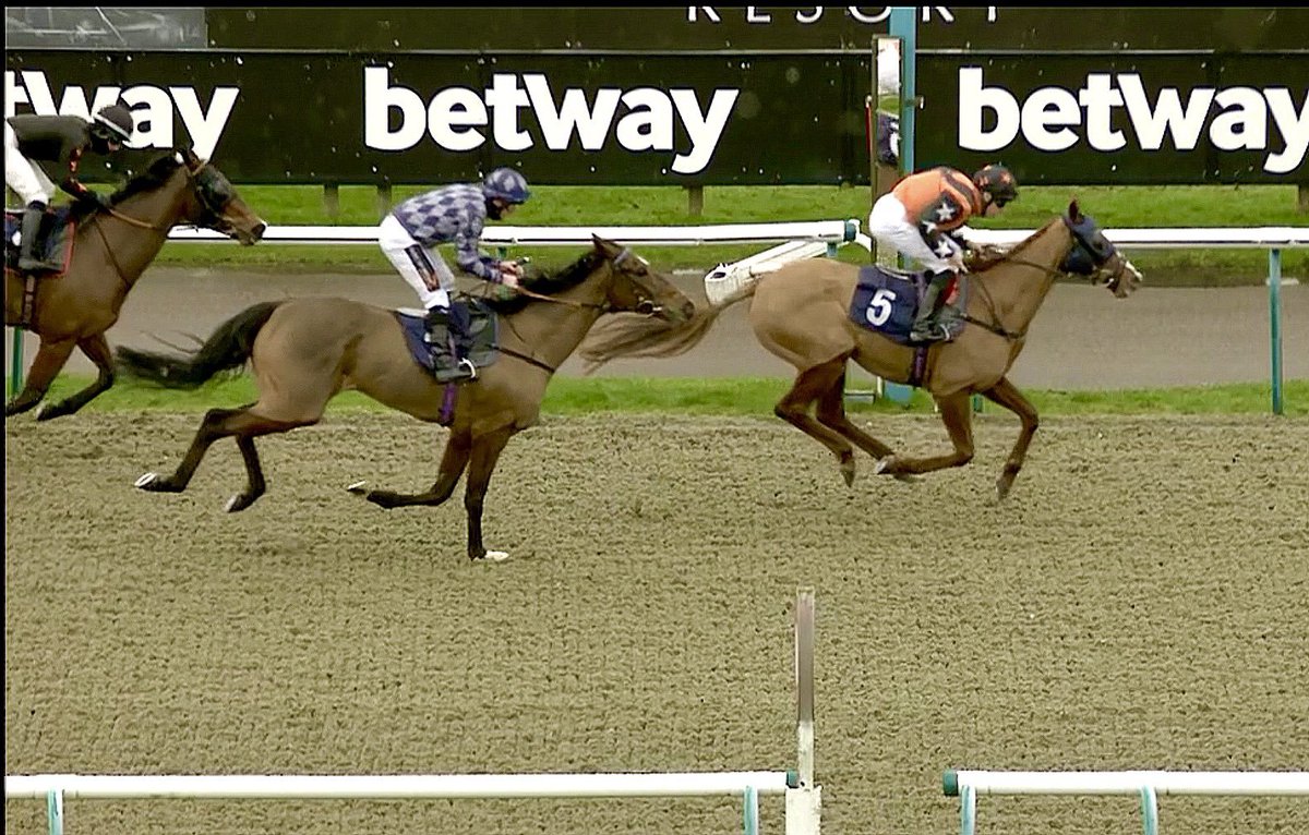 bofaracingclub's tweet image. Metal Man winning today for us
breathoffreshairracing.com to get involved
Thank you @RebeccaEMenzies you really are on fire
#firstpastthepost #winninghorse #metalman #rebeccamenzies #toptrainer #syndicates