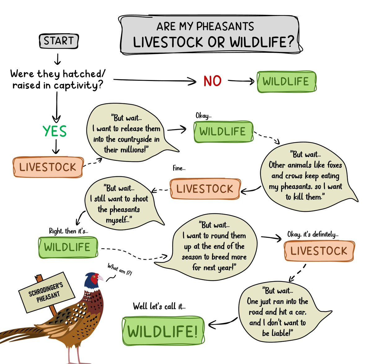 Wild Justice tweet media