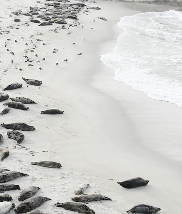 Archillect (@archillect) on Twitter photo 