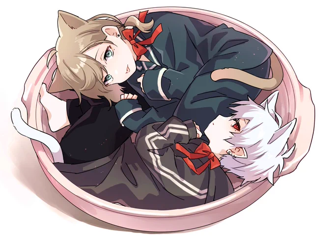 nwねこなべ🐈‍⬛ 