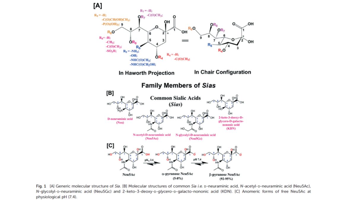 Marcin Czerwinski tweet media