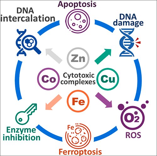 Russ Chem Rev (@russchemrev) on Twitter photo Read the review summarizing the data on the structures and methods for the synthesis of compounds with #anticancer activity based on #biogenic metals, which can replace platinum #drugs prevailing in #cytotoxic therapy. <a href="/IOPPublishing/">IOP Publishing</a> iopscience.iop.org/article/10.107… Read the review summarizing the data on the structures and methods for the synthesis of compounds with #anticancer activity based on #biogenic metals, which can replace platinum #drugs prevailing in #cytotoxic therapy. <a href="/IOPPublishing/">IOP Publishing</a> iopscience.iop.org/article/10.107…
