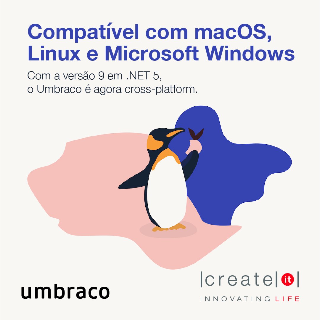 createit_pt's tweet image. 👉 Já conhece todo o potencial do CMS @Umbraco 9? A nova versão está mais poderosa que nunca e na Create IT estamos a aproveitá-la ao máximo para desenvolver portais e apps incríveis 🙌💻📱
Conte connosco:
digital.create.pt/portais-web-ap…
#Umbraco9 #CMS #ContentManagementSystem #Portals