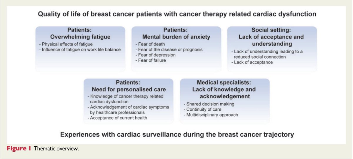 #EJCN #Fridayread

Cancer therapy-related #cardiac dysfunction has a large impact on #breastcancer patients’ #QoL - read about the patient perspective in this paper by <a href="/YvonneKoop_/">Yvonne Koop</a>:

📜doi.org/10.1093/eurjcn…

<a href="/hvermeulen67/">Hester Vermeulen</a> <a href="/Radboud_Uni/">Radboud University</a> <a href="/ESC_Journals/">European Society of Cardiology Journals</a> <a href="/escardio/">European Society of Cardiology</a> <a href="/ACNAPPresident/">ACNAPPresident</a>