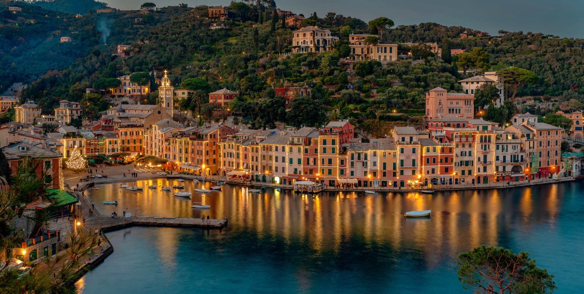 Amico fragile tweet media