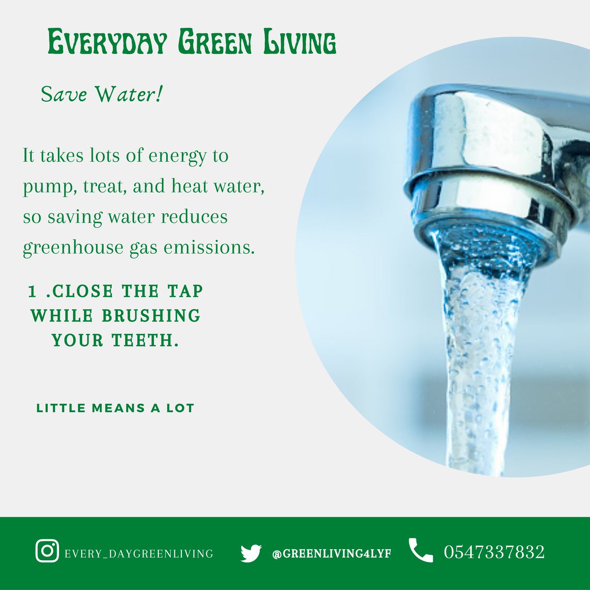 Everyday Green Living tweet media