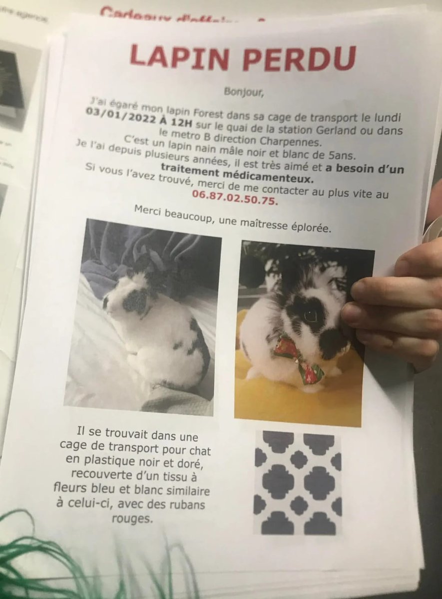 FoolClemFitz's tweet photo. [LYON] Forest a disparu avec sa cage de transport dans le metro depuis le 3 janvier, il est recherché par sa propriétaire, Partagez SVP 🙏 ! #lapin #nac poke @_Nepsie_ @Lili_Galipette https://t.co/TErvGHOCMX