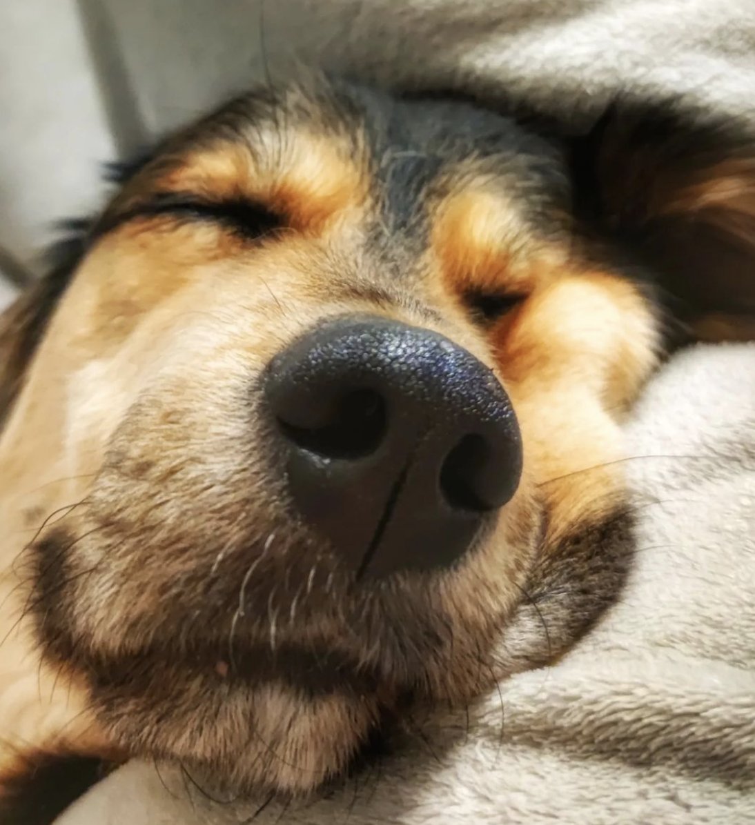 Qué tranquilito está cuando duerme :)