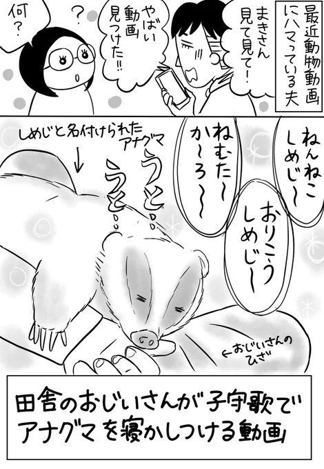 【中年夫婦コミックエッセイ】夫が見つけたやばい動画
#漫画が読めるハッシュタグ  #コミックエッセイ #いしいまき 